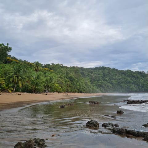 Ecotours
