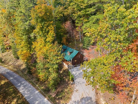 Secluded cabin retreat nestled in vibrant autumn woods