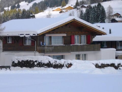 Plant, Sky, Cloud, Building, Tree, Wood, Land Lot, Window, Residential Area, Leisure