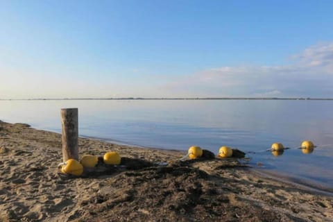 Region [summer] (>5 km)