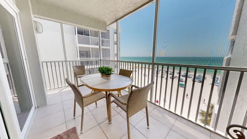Screened in Balcony