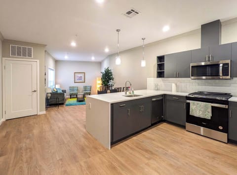 Living Area/Kitchen