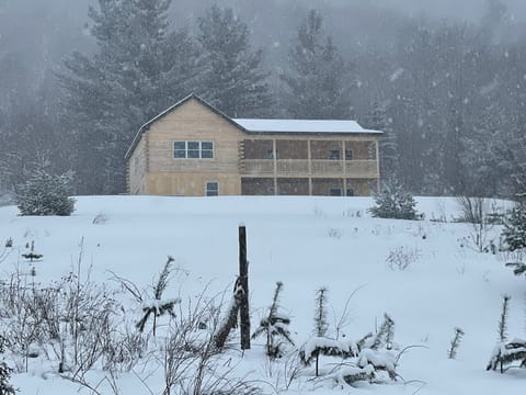 View of cabin from driveway 