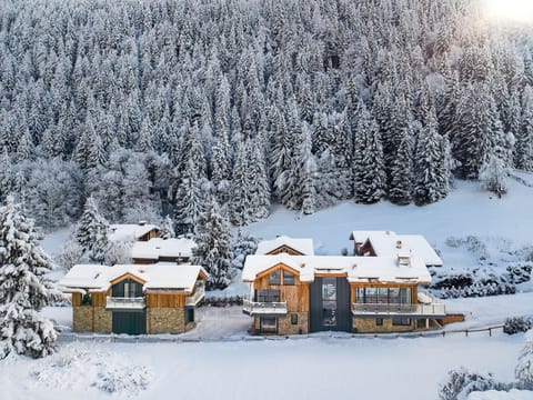 Chalet les Côtés du Lavancher