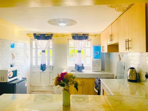 Deluxe Apartment, City View | Private kitchen | Fridge, microwave, cookware/dishes/utensils