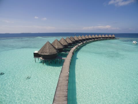 Bungalow, Overwater | Egyptian cotton sheets, premium bedding, minibar, in-room safe