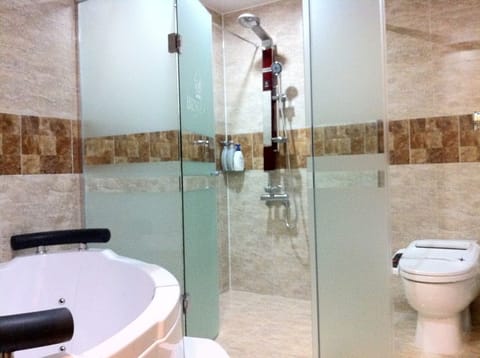 Shower, hair dryer, bidet, towels