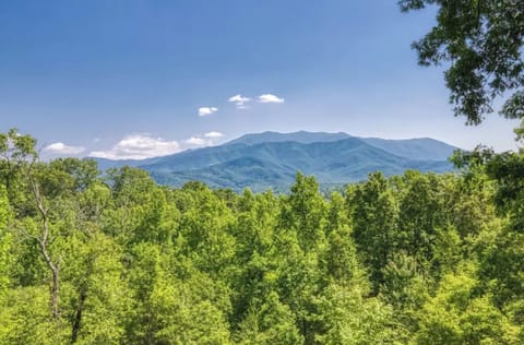 Deck views during summer