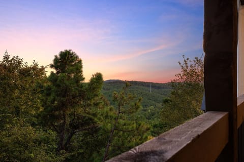 What a view!