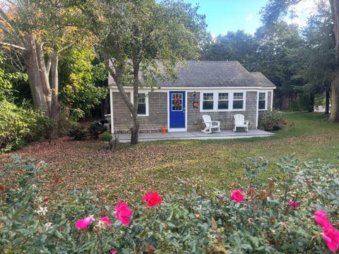 Walk to Campground Beach!