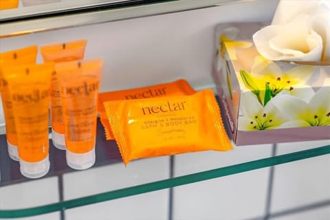 Miami Miami Beach Junior King Studio Misc.