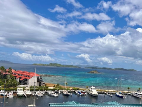 View from the patio