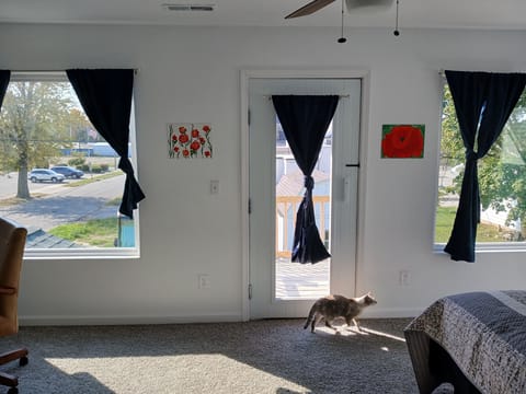 Deluxe Single Room, Balcony, City View | Individually decorated, individually furnished, desk, laptop workspace