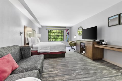 Executive Room, 1 King Bed with Sofa bed, Refrigerator & Microwave | Blackout drapes, iron/ironing board, free cribs/infant beds, free WiFi