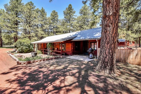 PORTER presents Rustic Star, an authentic 100-year-old log cabin nestled on the edge of the Kaibab Forest.