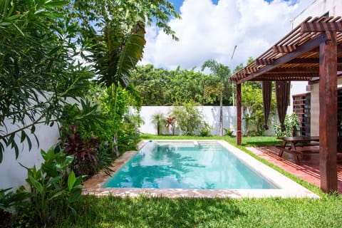 An urban Paradise, a refreshing pool, a well taken care of Tropical Garden, green lush lawn and a covered terrace for your dinners al Fresco