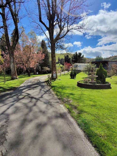 Cabin | Property grounds