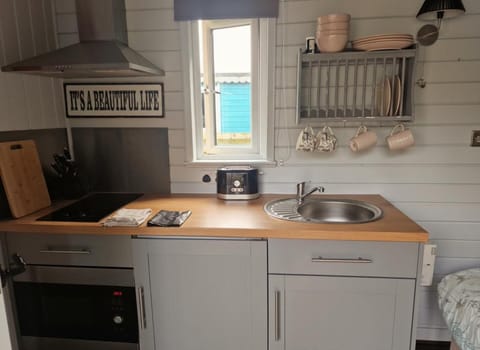 Fridge, microwave, stovetop, electric kettle