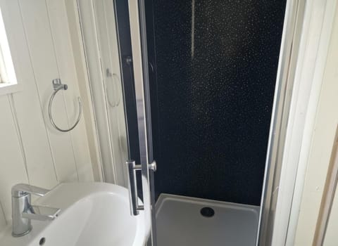 Shower, towels, toilet paper