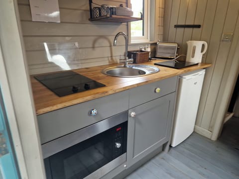 Cabin | Private kitchen | Fridge, microwave, stovetop, electric kettle