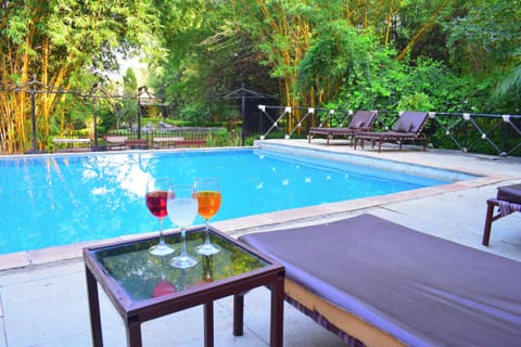 Outdoor pool, sun loungers