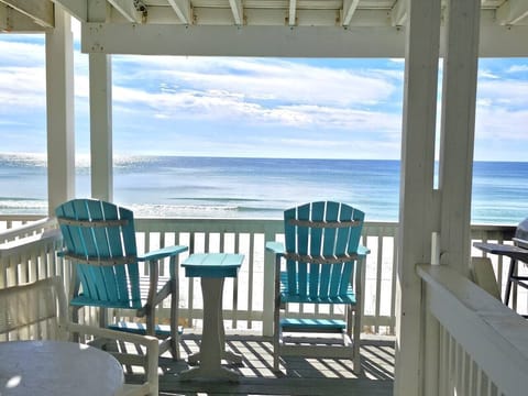 You should be here every morning watching dolphins and drinking coffee...maybe a biscotti?