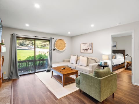 Living Area / Sleeper Sofa