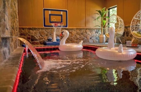 Luxurious indoor lighted pool w/waterfall, basketball goal & water toys! 