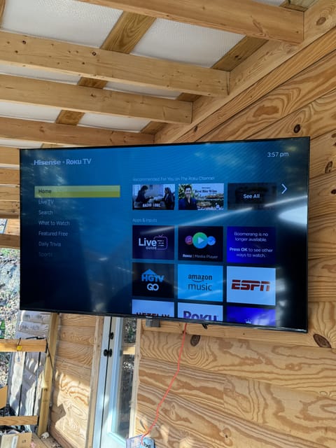 Television