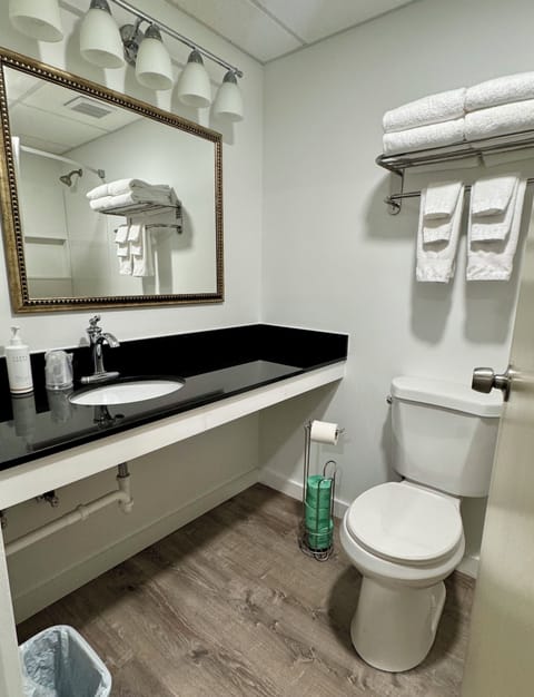 Combined shower/tub, free toiletries, hair dryer, towels