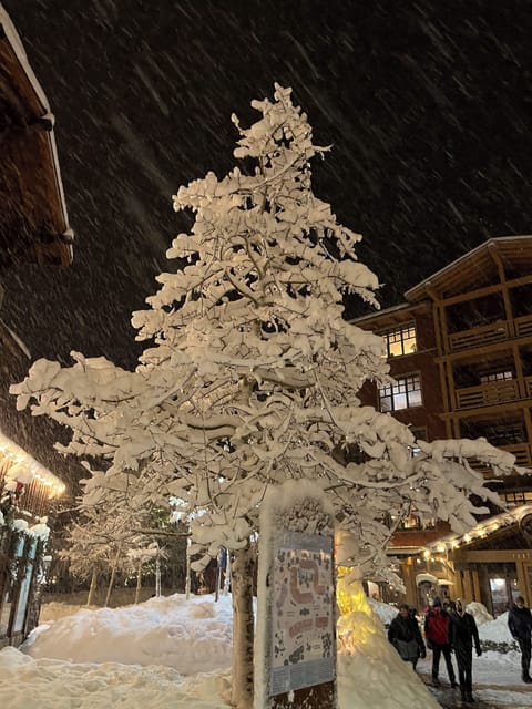 Snow covered tree in the village at Mammoth Lakes during winter