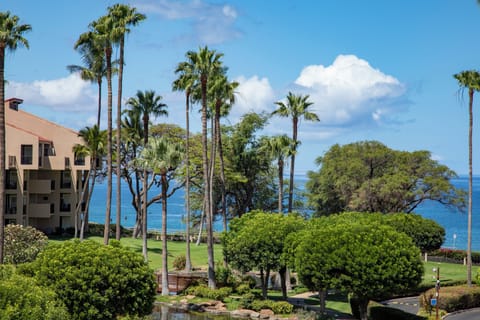 Condo, 1 King Bed with Sofa bed, Air conditioning, Ocean View (1014) | Beach/ocean view