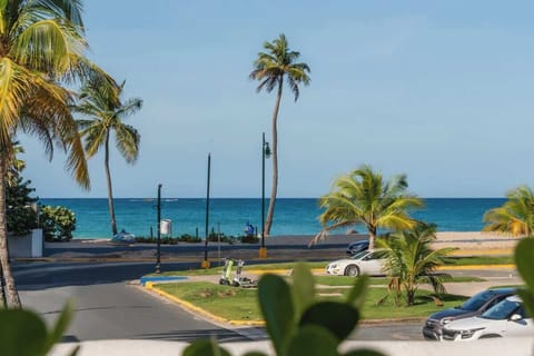 Ocean View Terrace 