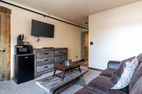 Sleeper sofa, TV, and fridge