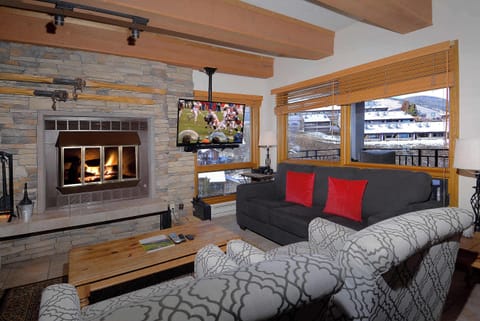 Living room, wood burning fireplace, sleeper sofa