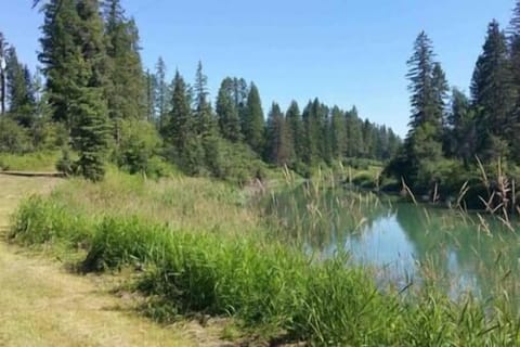 The Whitefish River runs through the property, steps from your door.