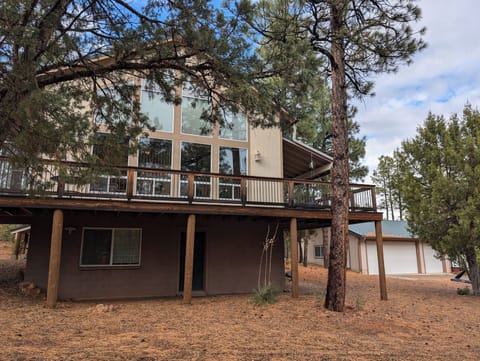 Back of the house with large windows facing forest