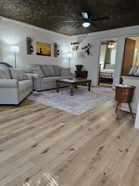 Living room Hide-a-bed Queen