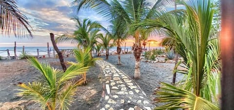 Beach/ocean view