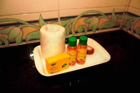 Premium Room | Bathroom | Shower, rainfall showerhead, towels, toilet paper