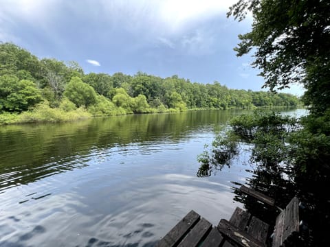 Beautiful Spring Lake!