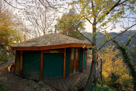 Yurt