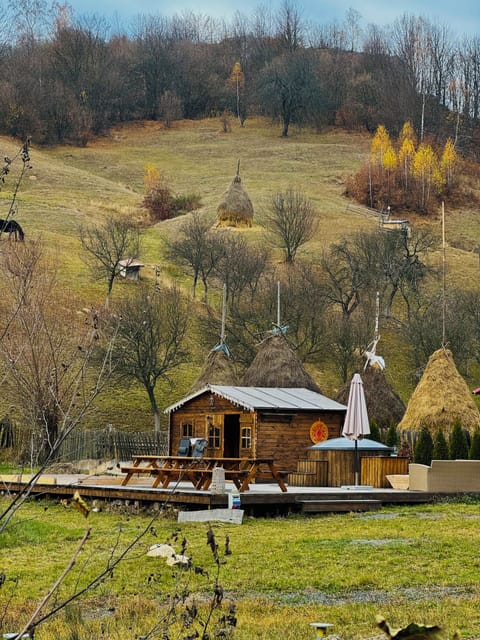 Sauna, hot tub