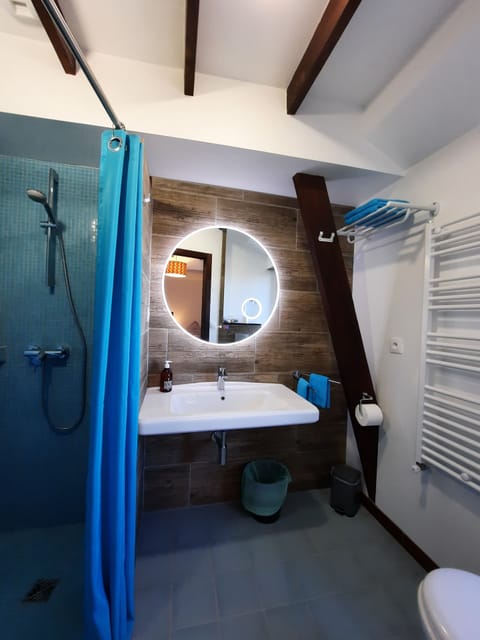 Comfort Double or Twin Room, Private Bathroom | Bathroom | Shower, hair dryer, towels, soap