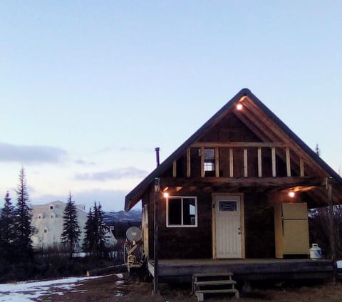 Cabin from the front with the Parks Highway Igloo in the background 