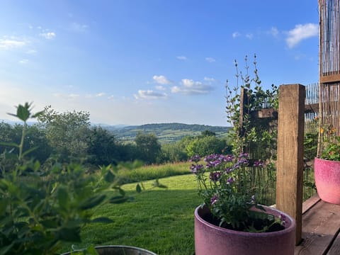 Cabin | Property grounds