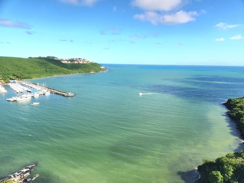 View from Family/Living Room where manatees and sea turtles visit daily
