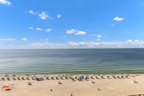 Condo, Multiple Beds (Phoenix I 1097) | Beach | On the beach