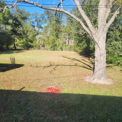 Backyard view from kitchen window