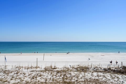 Condo, 1 Queen Bed with Sofa bed (Seaside Beach & Racquet 1315) | Beach | On the beach